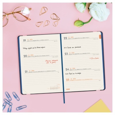 Agenda aberta com texto impresso e anotações manuscritas, rodeada de óculos, clips e flores sobre superfície rosa.