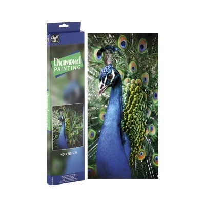 Conjunto de pintura diamante pavão 40 x 50 cm em embalagem azul e verde