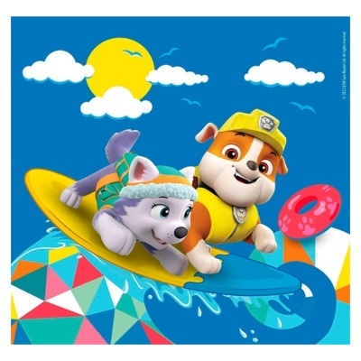 Duas personagens caninas animadas a surfar no mar com fundo colorido e sol.