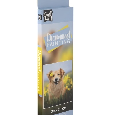 Embalagem de pintura de diamante com imagem de cão dourado e texto Diamond PAINTING 30 x 30 CM