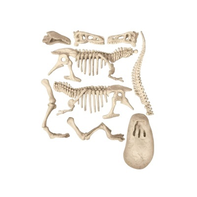 Peças de esqueleto de dinossauro creme desmontadas sobre fundo branco