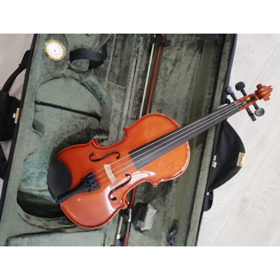 Violino castanho com cravelhas pretas em estojo verde acolchoado