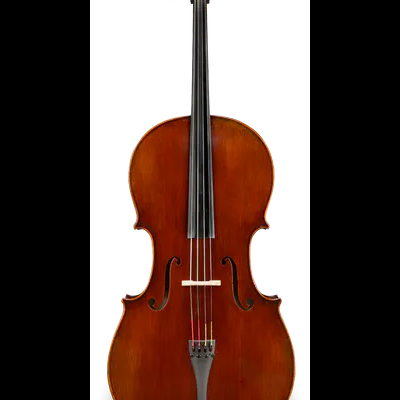 Violino de madeira castanho polido com cordas pretas