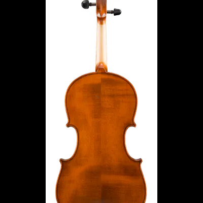 Violino em madeira castanho alaranjado visto de trás