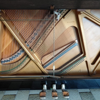 Interior de piano de cauda com cordas, estrutura metálica dourada e três pedais de metal