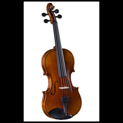 Violino de madeira castanho com cordas, cravelhas pretas e queixo preto