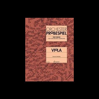 Capa de livro para viola com pauta musical em fundo salmão