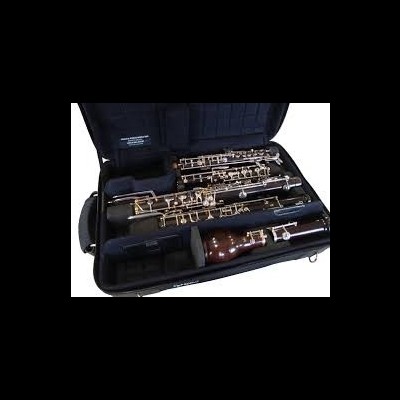 Estojo aberto com instrumentos de sopro em metal e madeira