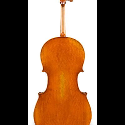 Violoncelo de madeira castanho alaranjado visto de trás