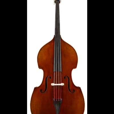 Contrabaixo acústico castanho em fundo branco