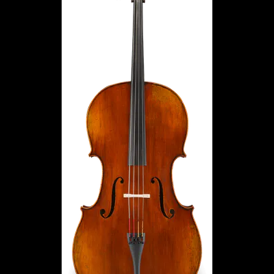 Violoncelo de madeira castanho com cravelhas e ponte pretas em fundo branco