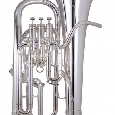 Eufónio prateado em fundo branco