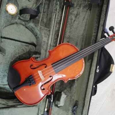 Violino castanho-avermelhado dentro de caixa verde-acinzentada