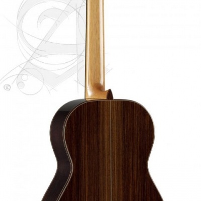 Parte traseira de uma guitarra clássica de madeira escura com braço claro