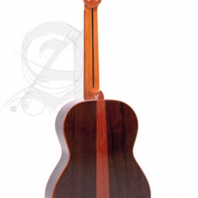 Parte traseira de guitarra clássica em madeira castanha polida com fundo branco