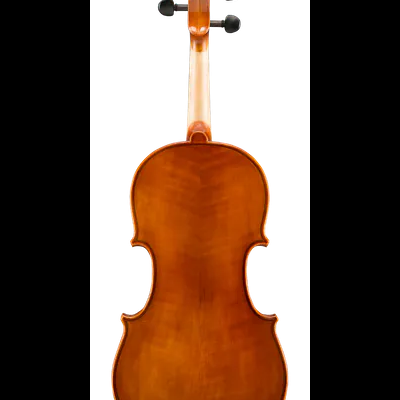 Traseira de violino em madeira castanho-avermelhada brilhante
