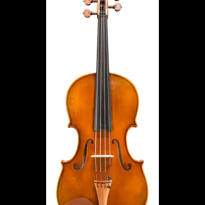 Violino em madeira castanha contra fundo branco