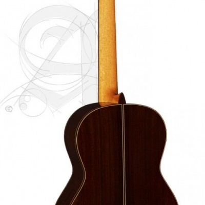 Guitarra clássica de costas em madeira escura com pescoço em madeira clara, fundo branco.