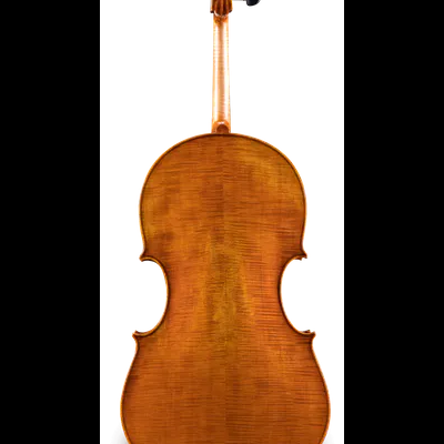 Violino castanho visto de costas em fundo branco