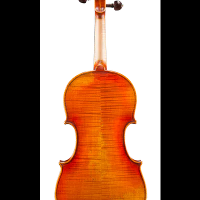 Costas de um violino em madeira laranja-avermelhada com acabamento brilhante