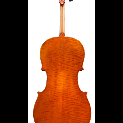 Violoncelo vista traseira em madeira polida castanha alaranjada com cravelhas pretas