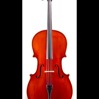 Violoncelo castanho-avermelhado brilhante sobre fundo branco