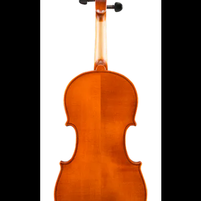 Violino castanho alaranjado de costas com cravelhas pretas