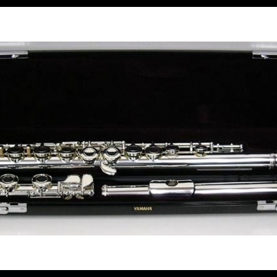 Flauta transversal prateada numa caixa preta aberta