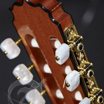 Cabeça de guitarra clássica castanha com cravelhas brancas e detalhes dourados