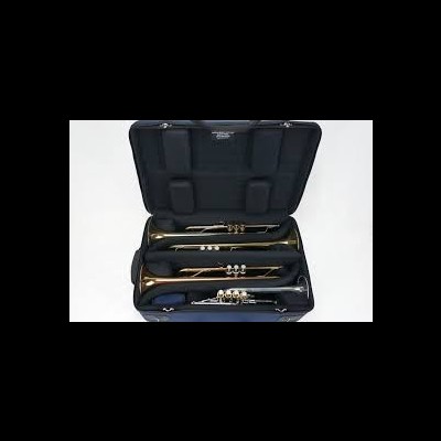 Estojo aberto com três instrumentos de sopro em latão dentro.