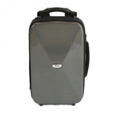 Mala de viagem rígida cinzenta com punho preto e etiqueta oval WISE