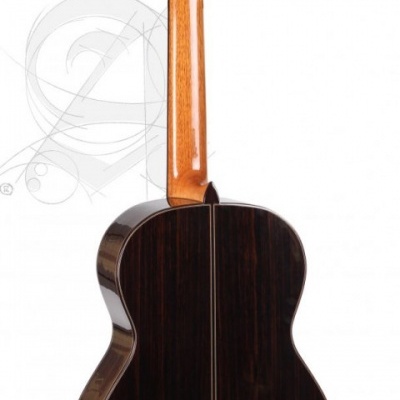 Guitarra clássica vista das costas com madeira escura e braço claro