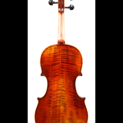 Costas de um violino em madeira castanho avermelhado brilhante