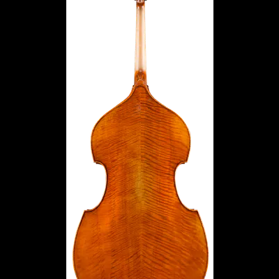 Contrabaixo de madeira visto de trás com acabamento castanho-avermelhado brilhante
