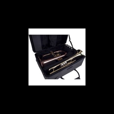 duas trompetas dentro de uma mala preta acolchoada