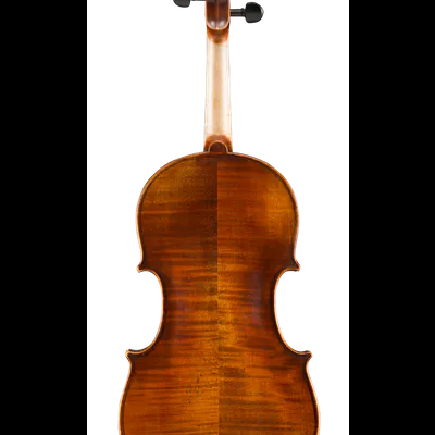 Violino de madeira castanha visto pela parte de trás