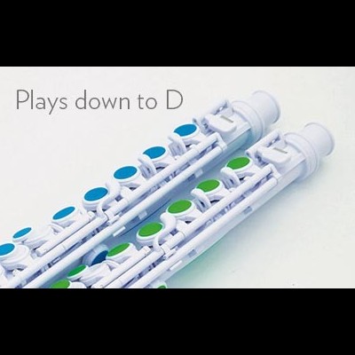 Dois flautins brancos com botões azuis e verdes e texto 'Plays down to D'