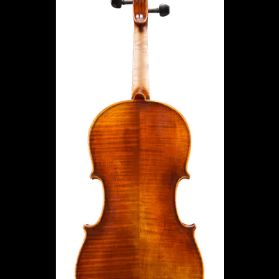 Violino de madeira visto de trás, com acabamento brilhante castanho