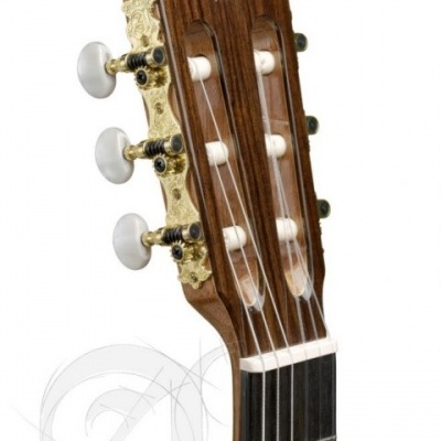 Cabeça de guitarra clássica em madeira castanha com tarraxas douradas e botões brancos