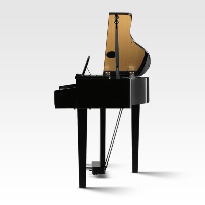 Piano de cauda preto com tampa aberta