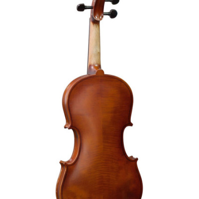 Violin clássico de madeira castanha visto de costas
