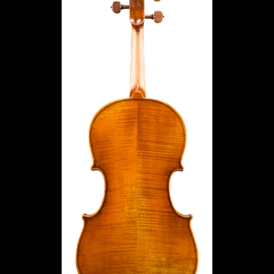 Parte traseira de violino em madeira castanha brilhante