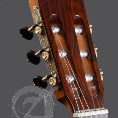 Cabeça de guitarra clássica em madeira castanha com tarraxas douradas