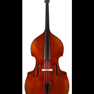 Contrabaixo acústico castanho em fundo branco