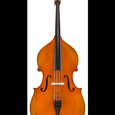 Contrabaixo acústico laranja brilhante em fundo branco