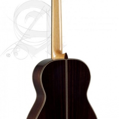 Parte traseira de guitarra clássica madeira escura com braço claro