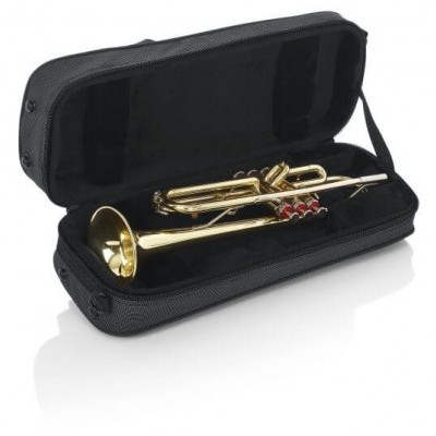 Trompete dourado numa capa preta aberta