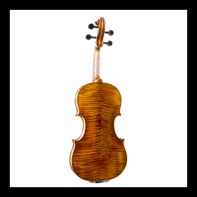 Violino de madeira castanha brilhante visto de trás com cravelhas pretas