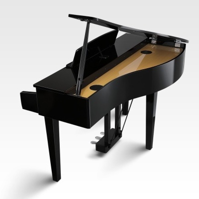 Piano de cauda preto com tampa aberta sobre fundo branco