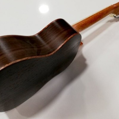 Instrumento musical de cordas com corpo em madeira escura e braço em madeira clara visto de trás